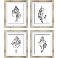 Framed 'Quiet Conchvvvv 4 Piece Framed Art Print Set' border=