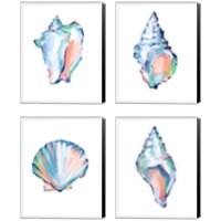 Framed 'Pop Shell Study 4 Piece Canvas Print Set' border=