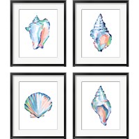 Framed 'Pop Shell Study 4 Piece Framed Art Print Set' border=