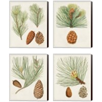 Framed 'Antique Pine Cones 4 Piece Canvas Print Set' border=