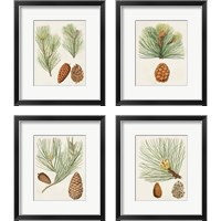 Framed 'Antique Pine Cones 4 Piece Framed Art Print Set' border=