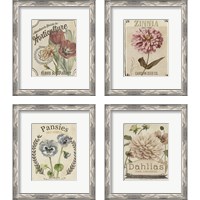 Framed 'Vintage Seed Packets 4 Piece Framed Art Print Set' border=