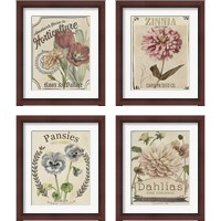 Framed 'Vintage Seed Packets 4 Piece Framed Art Print Set' border=