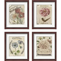 Framed 'Vintage Seed Packets 4 Piece Framed Art Print Set' border=