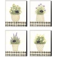 Framed 'Herb 4 Piece Canvas Print Set' border=