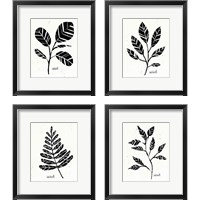 Framed Botanical Sketches 4 Piece Framed Art Print Set