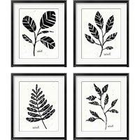 Framed 'Botanical Sketches 4 Piece Framed Art Print Set' border=