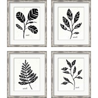 Framed 'Botanical Sketches 4 Piece Framed Art Print Set' border=