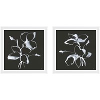 Framed 'Wildflowers 2 Piece Framed Art Print Set' border=