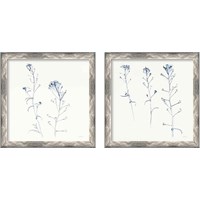 Framed 'Shepherds Purse Stems 2 Piece Framed Art Print Set' border=