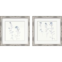 Framed 'Shepherds Purse Stems 2 Piece Framed Art Print Set' border=