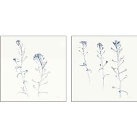 Framed 'Shepherds Purse Stems 2 Piece Art Print Set' border=