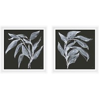 Framed 'Branch  2 Piece Framed Art Print Set' border=