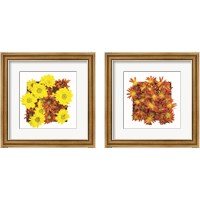Framed 'Floral Pop 2 Piece Framed Art Print Set' border=