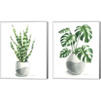 Framed 'Potted Exotics 2 Piece Canvas Print Set' border=