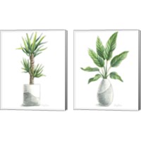 Framed 'Potted Exotics 2 Piece Canvas Print Set' border=