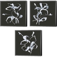 Framed 'Wildflowers 3 Piece Canvas Print Set' border=