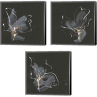 Framed 'Modern Flower 3 Piece Canvas Print Set' border=