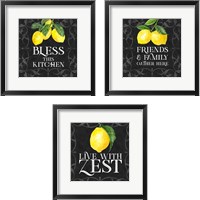 Framed 'Live with Zest 3 Piece Framed Art Print Set' border=