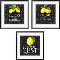 Framed 'Live with Zest 3 Piece Framed Art Print Set' border=