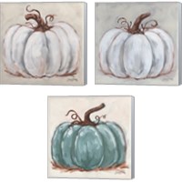 Framed 'Pumpkin Close-Up 3 Piece Canvas Print Set' border=