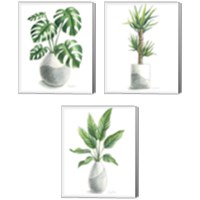 Framed 'Potted Exotics 3 Piece Canvas Print Set' border=