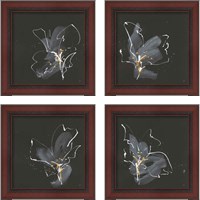 Framed 'Modern Flower 4 Piece Framed Art Print Set' border=