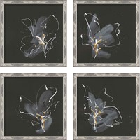 Framed 'Modern Flower 4 Piece Framed Art Print Set' border=