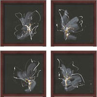 Framed 'Modern Flower 4 Piece Framed Art Print Set' border=