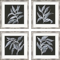 Framed 'Branch  4 Piece Framed Art Print Set' border=