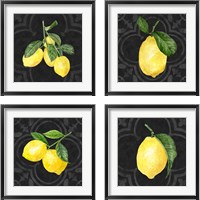 Framed 'Live with Zest  4 Piece Framed Art Print Set' border=