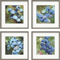 Framed 'Blueberries  4 Piece Framed Art Print Set' border=