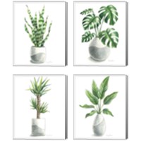 Framed 'Potted Exotics 4 Piece Canvas Print Set' border=