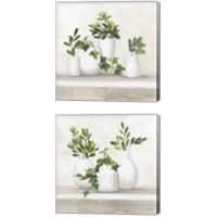 Framed 'Plant Life 2 Piece Canvas Print Set' border=