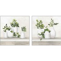 Framed 'Plant Life 2 Piece Art Print Set' border=