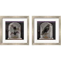 Framed 'Apothecary Noir 2 Piece Framed Art Print Set' border=