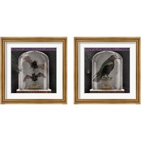 Framed 'Apothecary Noir 2 Piece Framed Art Print Set' border=