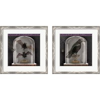 Framed 'Apothecary Noir 2 Piece Framed Art Print Set' border=