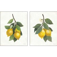 Framed 'Lemon Branch 2 Piece Art Print Set' border=