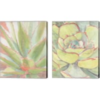Framed 'Succulent Bloom 2 Piece Canvas Print Set' border=