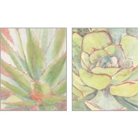 Framed 'Succulent Bloom 2 Piece Art Print Set' border=