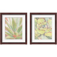 Framed 'Succulent Bloom 2 Piece Framed Art Print Set' border=