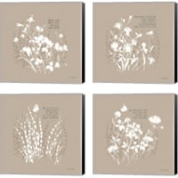 Framed 'Au Naturel 4 Piece Canvas Print Set' border=