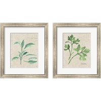 Framed 'Herbs on Burlap 2 Piece Framed Art Print Set' border=