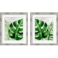 Framed 'Banana Leaf 2 Piece Framed Art Print Set' border=