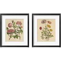 Framed 'Herbal Botany  2 Piece Framed Art Print Set' border=