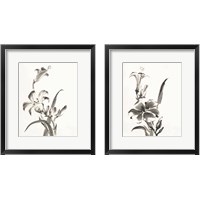 Framed 'Sumi Daylily 2 Piece Framed Art Print Set' border=