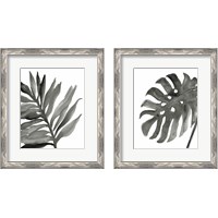 Framed 'Tropical Palm 2 Piece Framed Art Print Set' border=