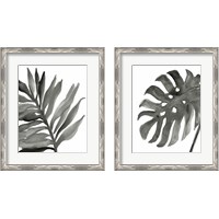 Framed 'Tropical Palm 2 Piece Framed Art Print Set' border=