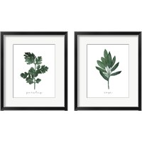 Framed 'Herbs 2 Piece Framed Art Print Set' border=